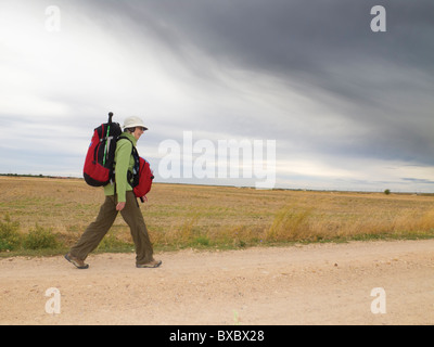 La Marche des Pèlerins le Chemin de Compostelle, Espagne. Banque D'Images