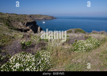 Parc Naturel du Cap de Creus (Cabo de Creus), Costa Brava, Gérone, Espagne Banque D'Images