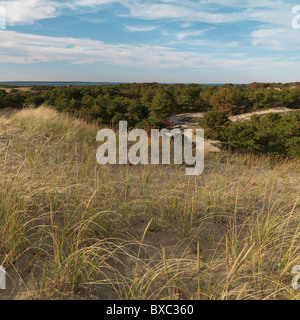 Les quelques dunes, Montauk,, les Hamptons, Sag Harbor, New York Banque D'Images