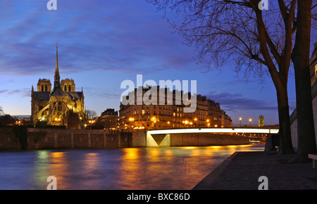 Cathédrale Notre Dame de Paris la nuit des bords de Seine. Banque D'Images