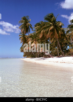 L'une des plages les plus célèbres dans les Caraïbes - dream beach Pigeon Point sur Tobago Trinité-et-Tobago  +- Banque D'Images