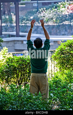 Man practicing Tai Chi dans un parc à Hong Kong, Chine Banque D'Images