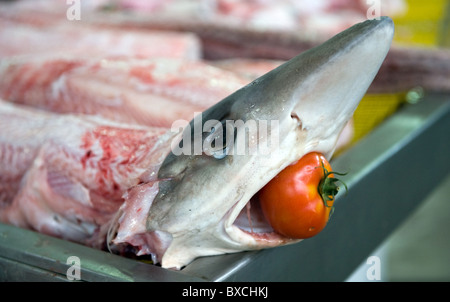 Un poisson à un marché aux poissons à Olhao, Portugal Banque D'Images