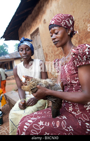 Les villageois se rassemblent pour être vaccinés pour leurs poulets à Port Loko, Sierra Leone, Afrique de l'Ouest. Banque D'Images