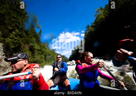 Un groupe d'adultes rafting dans le Maine. Banque D'Images