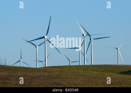 Les éoliennes et les lignes de transmission d'au coucher du soleil, près de San Francisco Banque D'Images