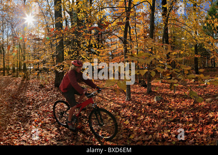 Vélo de montagne équitation à travers les feuilles d'automne, parc des Adirondack, New York State, USA Banque D'Images