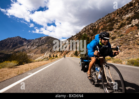 Un homme monte un cycliste vélo de randonnée chargé vers le bas le Tioga Pass à Yosemite (Californie). Banque D'Images