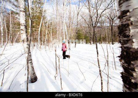 Une femme raquettes sur un sentier à l'autoroute Kangamangus près de Conway, New Hampshire. Banque D'Images