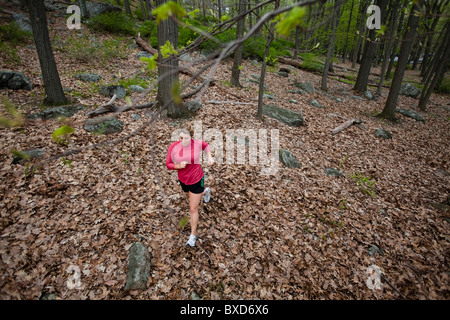 Une coureuse passe au parc d'État Harriman à Stony Point, New York. Banque D'Images