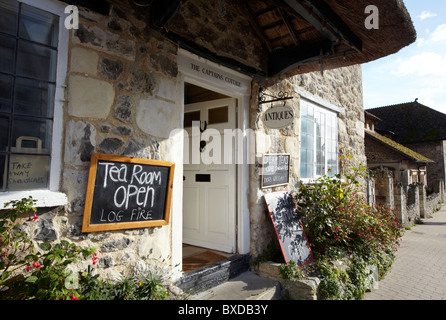 Salon de thé dans la bière Devon UK Europe Banque D'Images