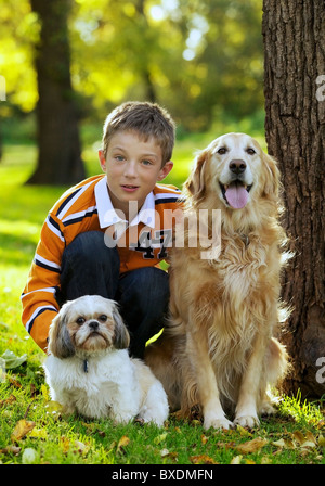 Jeune garçon jouant avec son Goldren Retriever et chiens Shih Tzu Banque D'Images