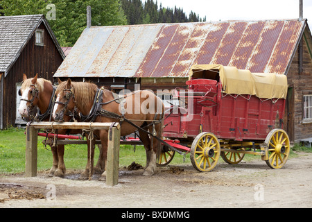 Chariot tiré par des chevaux dans la ville historique de Barkerville, British Columbia, Canada Banque D'Images