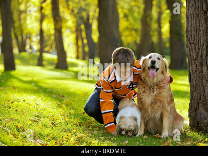 Jeune garçon jouant avec son Goldren Retriever et chiens Shih Tzu Banque D'Images