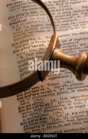 Loupe sur dictionary Banque D'Images
