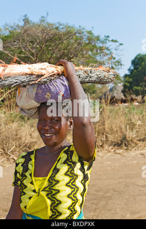 Femme porte le bois pour cuire les incendies dans son village, Kawaza, la Zambie, l'Afrique. Ces femmes sont de la tribu Kunda. Banque D'Images