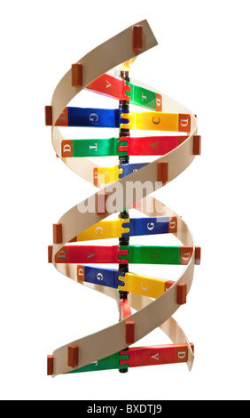 La structure d'une double hélice d'ADN. Banque D'Images