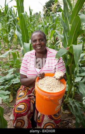 Mme Rhoda Komba est un agriculteur prospère dans la région de Dodoma, Tanzanie, Afrique de l'Est. Banque D'Images