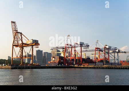 Grues à conteneurs Banque D'Images