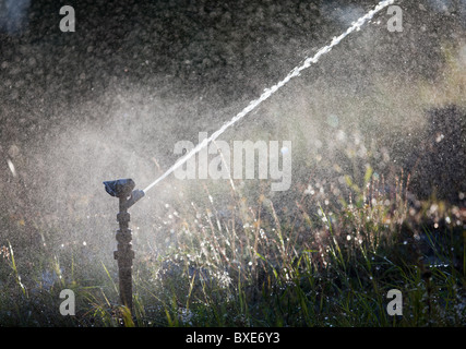 Pulvériser de l'eau gicleurs d'impulsion au jardin Banque D'Images