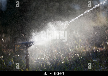 Pulvériser de l'eau gicleurs d'impulsion au jardin Banque D'Images