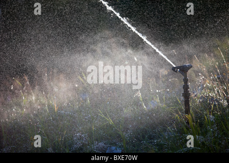 Pulvériser de l'eau gicleurs d'impulsion au jardin Banque D'Images