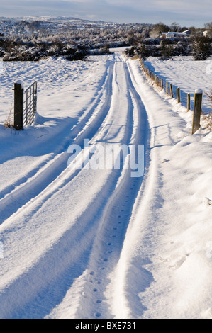 Snow covered rural lane avec traces Banque D'Images