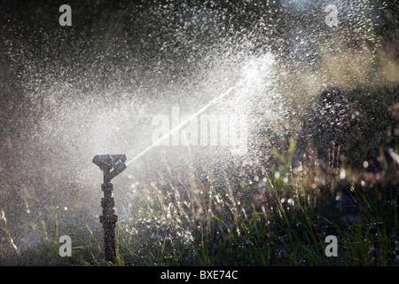 Pulvériser de l'eau gicleurs d'impulsion au jardin Banque D'Images