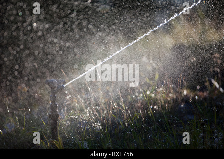 Pulvériser de l'eau gicleurs d'impulsion au jardin Banque D'Images