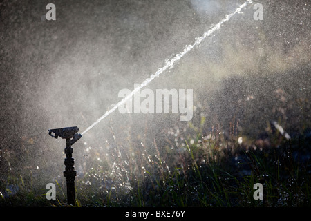 Pulvériser de l'eau gicleurs d'impulsion au jardin Banque D'Images