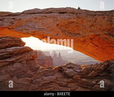 Mesa Arch au lever du soleil, Island-In-le-Ciel, Canyonlands National Park, le sud de l'Utah, USA Banque D'Images