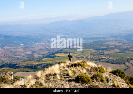 Pyrénées Catalogne Espagne oiseaux Vautours Banque D'Images