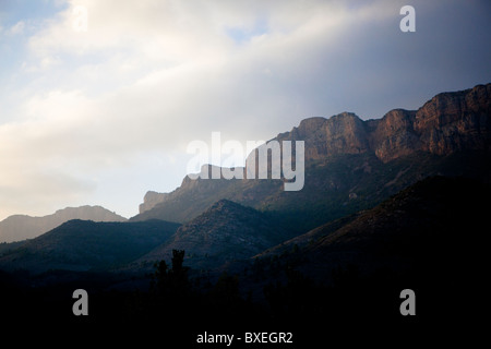 Pyrénées Catalogne Espagne oiseaux Vautours Banque D'Images