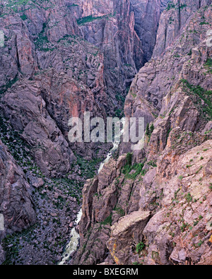 Voir l'abîme, Parc National Black Canyon of the Gunnison, Colorado, USA Banque D'Images