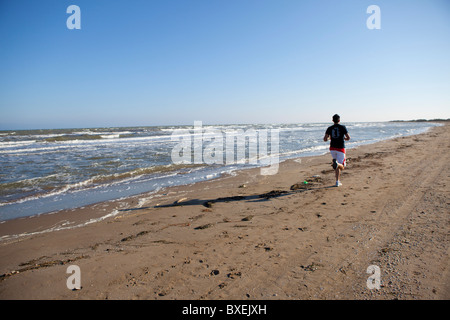 Delta du fleuve Ebre Catalogne Espagne Birdwatching Banque D'Images