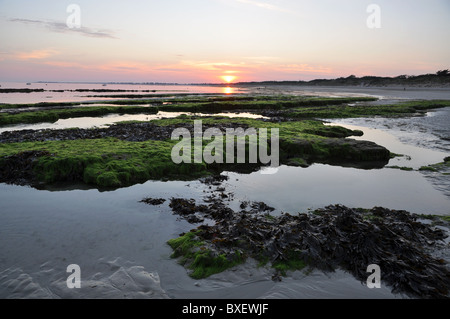 Coucher de soleil sur des roches couvertes d'algues Banque D'Images