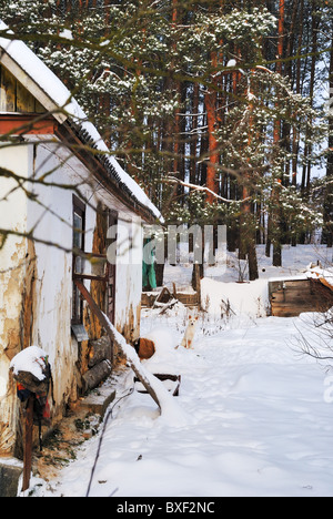 Un vieux pauvre maison dans un petit village, à l'Ukraine, l'Europe de l'Est Banque D'Images