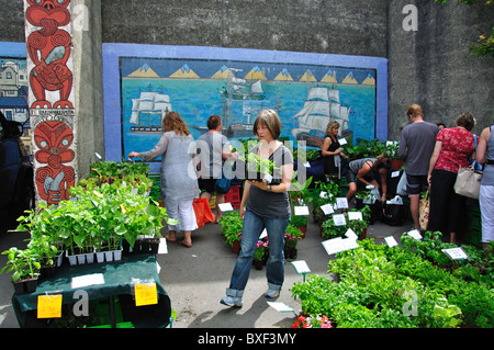 Lyttelton Farmers Market, Oxford Street, Lyttelton, Lyttelton Harbour, la péninsule de Banks, Canterbury, île du Sud, Nouvelle-Zélande Banque D'Images