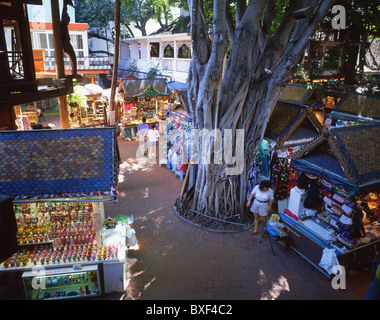 International Market Place Shopping Centre, plage de Waikiki, Honolulu, Oahu, Hawaii, United States of America Banque D'Images