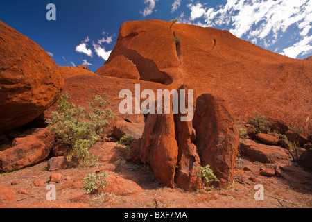 Un orange Red Rocks à Uluru (Ayers Rock), le Parc National d'Uluru-Kata Tjuta, Territoire du Nord, Yulara Banque D'Images