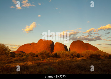 Coucher du soleil à Kata Tjuta (les Olgas), Uluru - Kata Tjuta National Park, Territoire du Nord Banque D'Images