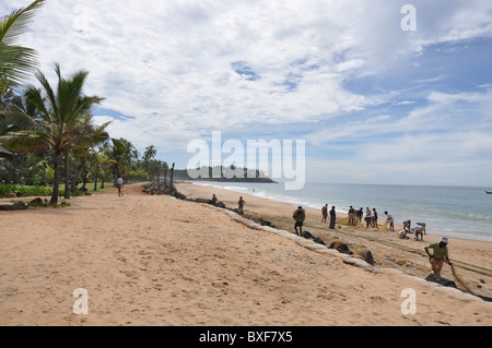 Les hommes sur la plage de Kovalam Inde palmiers emploi prises de poissons attendent les vagues plage tradition d'attente en bord de mer de sable vagues côté Banque D'Images