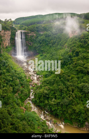 Karkloof Falls 88 mètres plongeant dans la vallée de Karkloof. Howick. KwaZulu Natal Midlands, Afrique du Sud. Banque D'Images