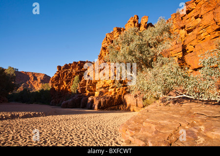 Lit du ruisseau à sec grâce à Trephina Gorge, dans l'Est des MacDonnell, Alice Springs, Territoire du Nord Banque D'Images