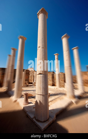 Les colonnes de la Maison de Dionysos dans les ruines de la ville grecque de Delos, le berceau des dieux Apollon et Artémis. Banque D'Images