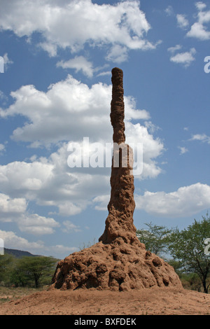 Tall termitière dans le bush aride paysage, vallée de l'Omo, Ethiopie Banque D'Images