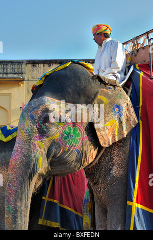 Décoré éléphant à Amber Fort, Jaipur, Inde. Banque D'Images