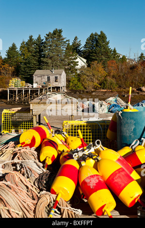 Corea Harbor, Maine, USA Banque D'Images