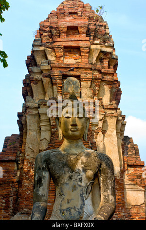 Statue de Bouddha en pierre au Wat Mahathat, est de l'Ayutthaya Grand Palace, Bangkok, Thaïlande Banque D'Images