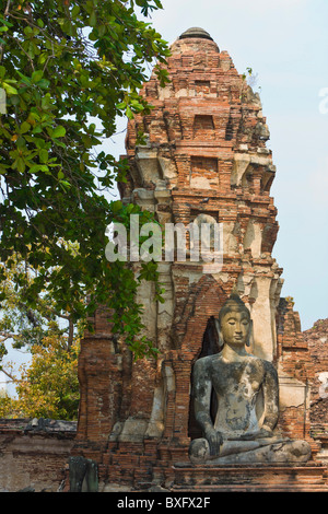 Statue de Bouddha en pierre au Wat Mahathat, est de l'Ayutthaya Grand Palace, Bangkok, Thaïlande Banque D'Images